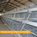 Hot Selling A Frame Automatic Chicken Battery Layer Cage Price